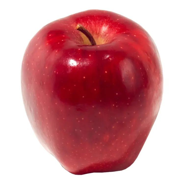 Juicy Red Apple