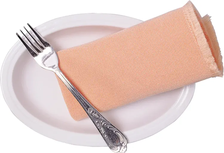 Fork and Napkin on Plate