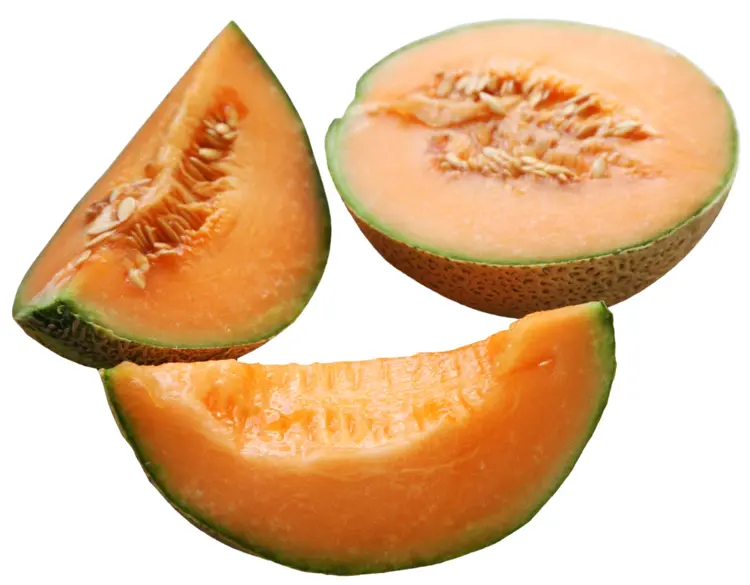 Sliced Orange Melon