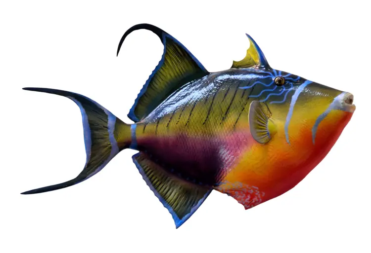 Bright Colorful Fish in the Ocean