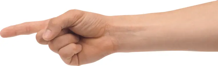 Pointing Hand Gesture