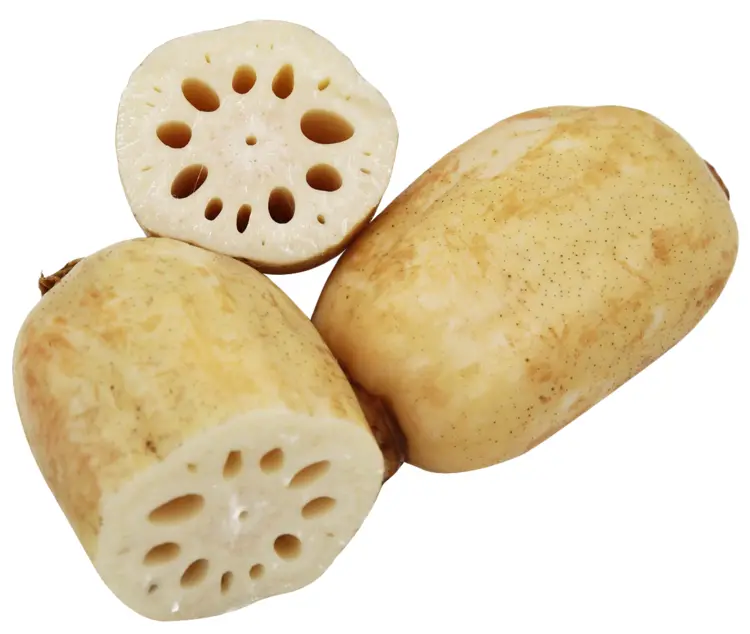 Sliced and Whole Lotus Root