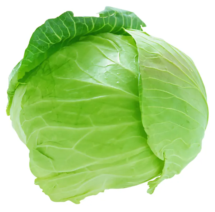 Vibrant Green Cabbage