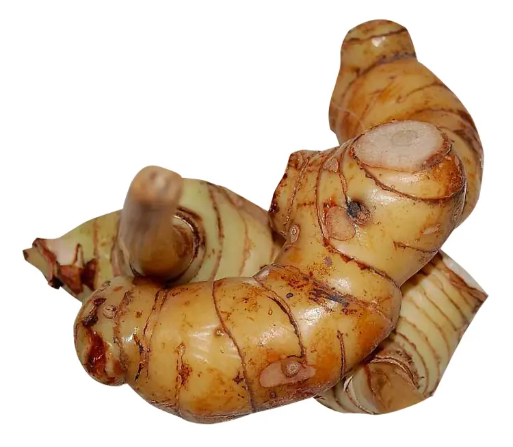Galangal Root