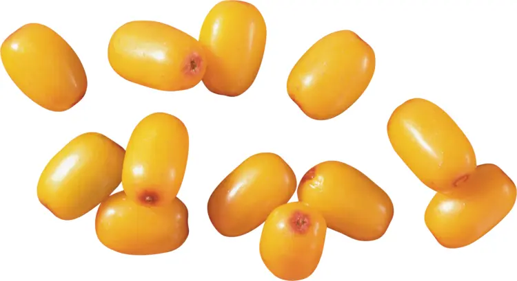 Sea Buckthorn Berries