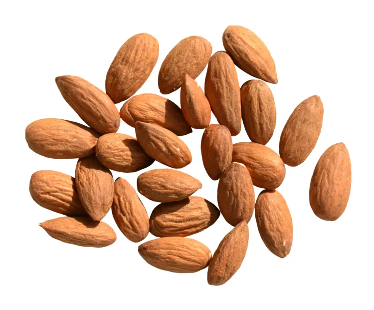 Scattered Brown Almonds