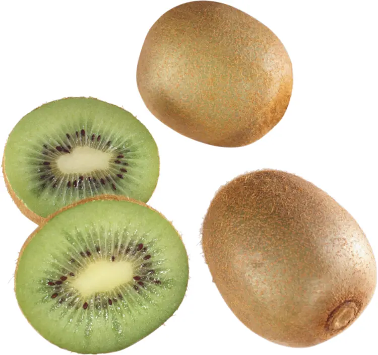 Sliced Green Kiwi Fruit