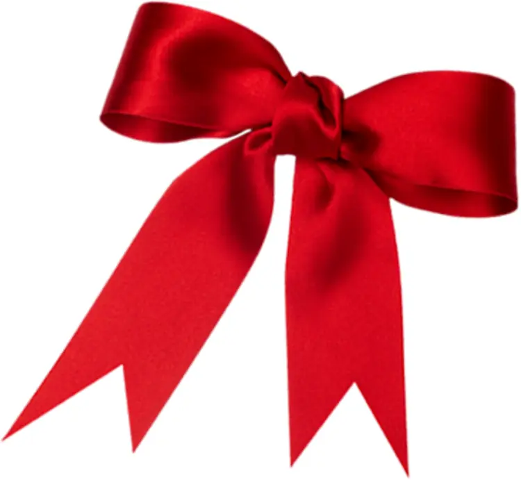 Red Bow Decoration