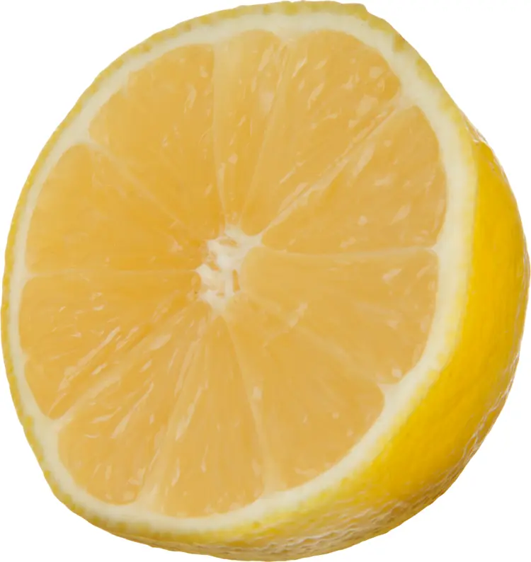 Sliced Yellow Lemon