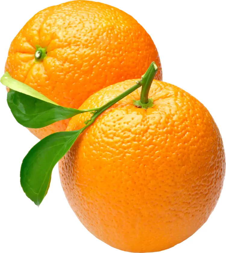 Oranges with Leaves