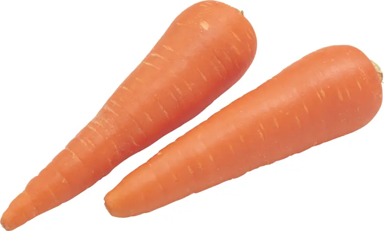 Fresh Orange Carrots