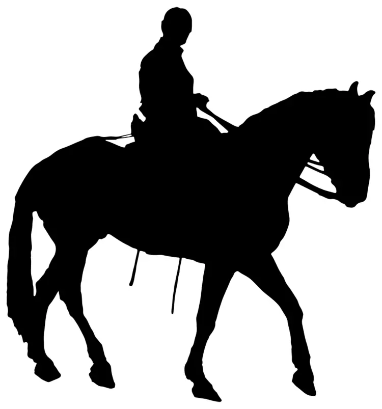 Silhouette of a person on a horse