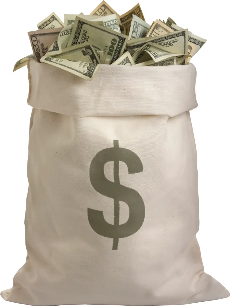 Money Bag Filled with Cash