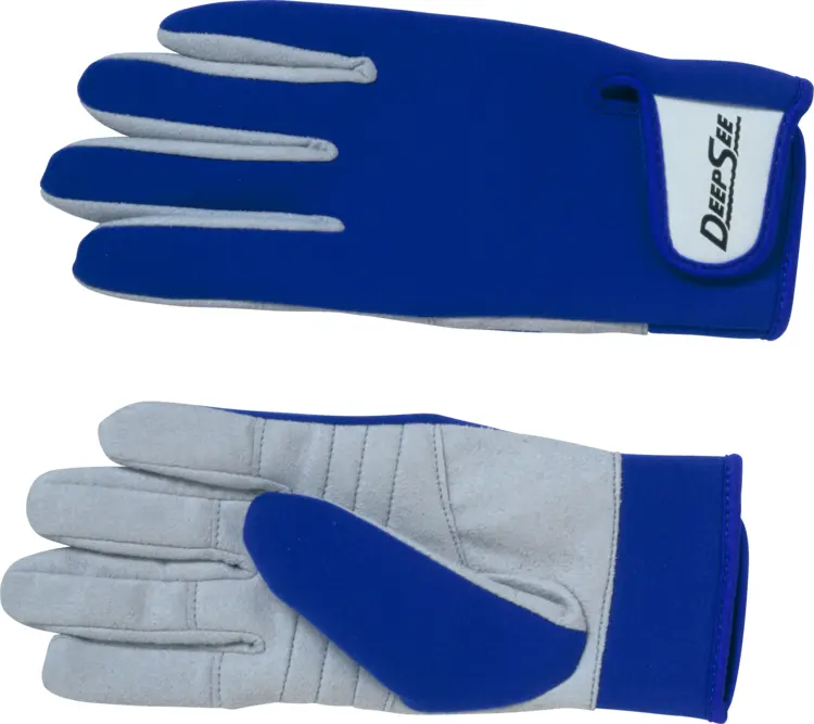 Blue and Gray Gloves
