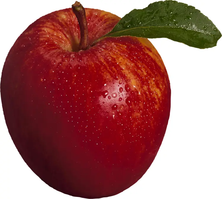 Red Apple with Water Droplets