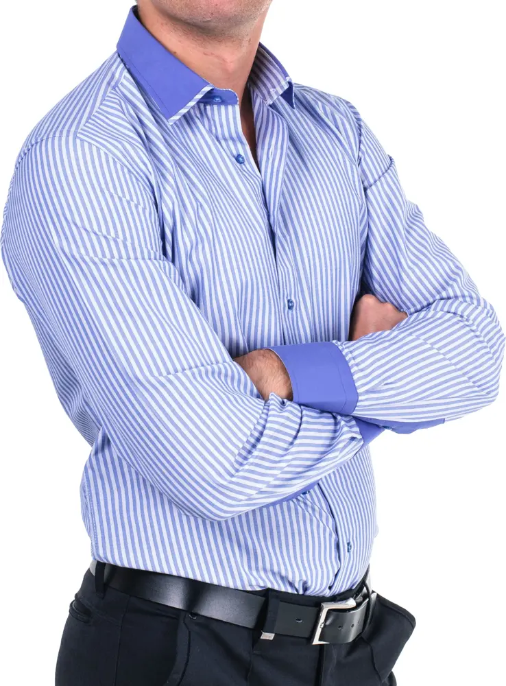 Blue Striped Shirt with Contrasting Collar