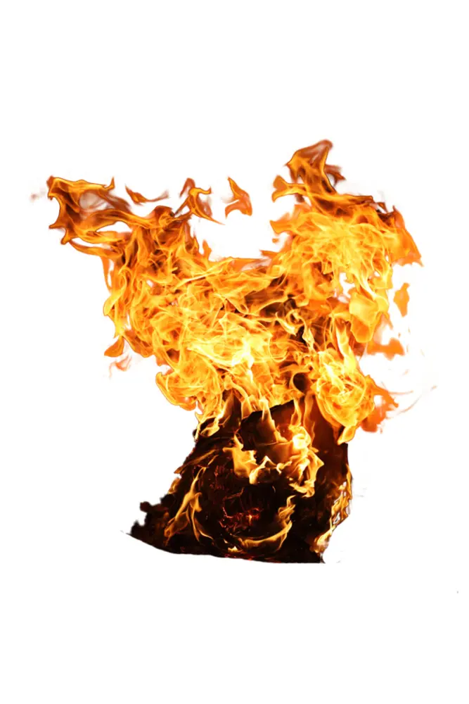 Burning Log with Intense Flames