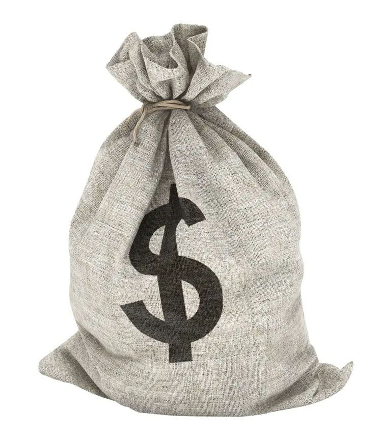 Money Bag with Dollar Sign