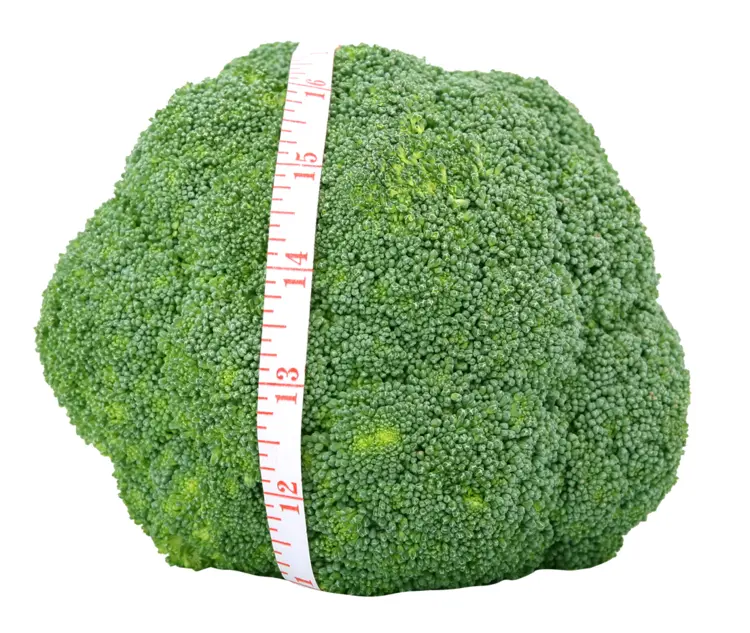 Healthy Green Broccoli