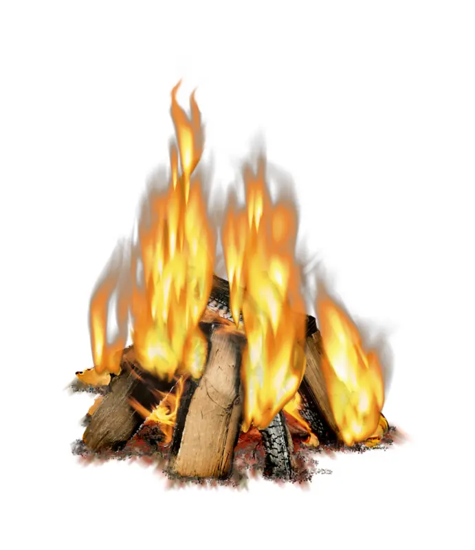 Campfire with Logs and Flames