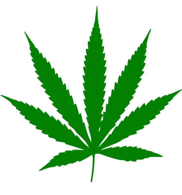 Green Cannabis Leaf