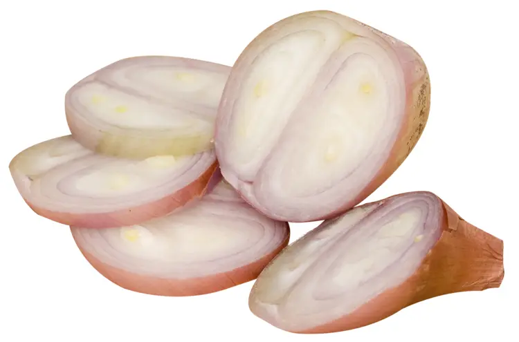 Sliced Shallots