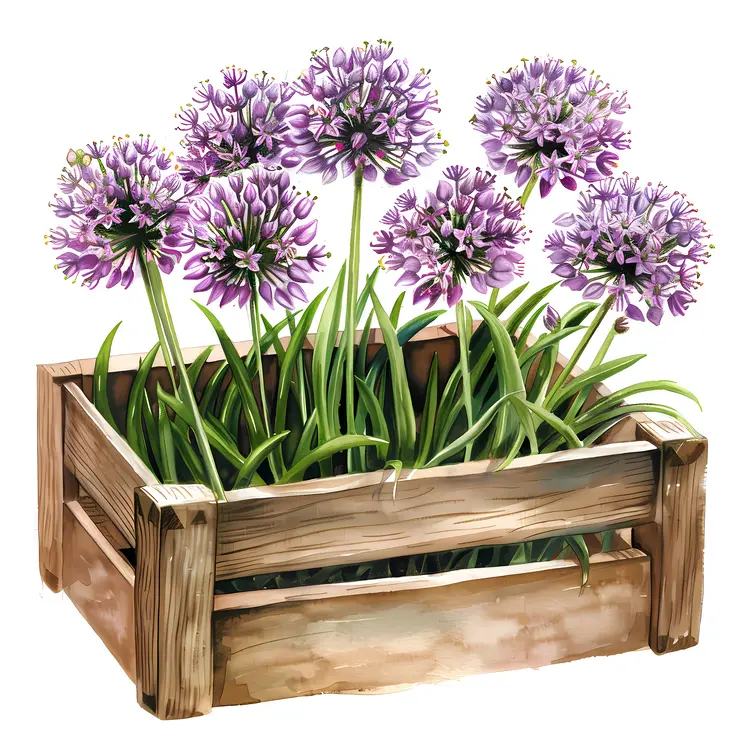 Purple Flowers in Wooden Box Illustration