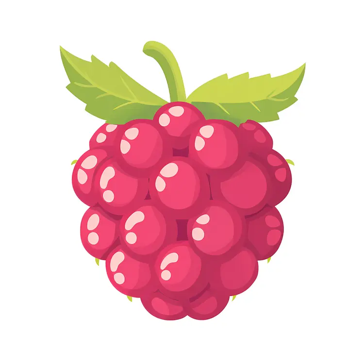 Cartoon Raspberry with Leaf Illustration