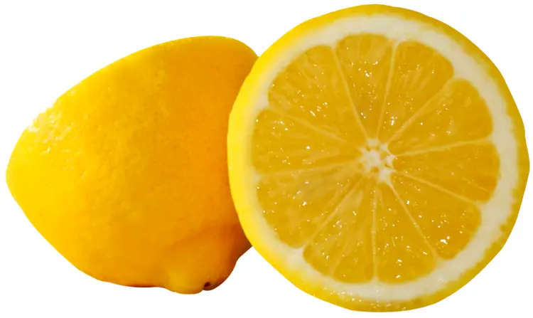 Fresh Yellow Lemon Sliced