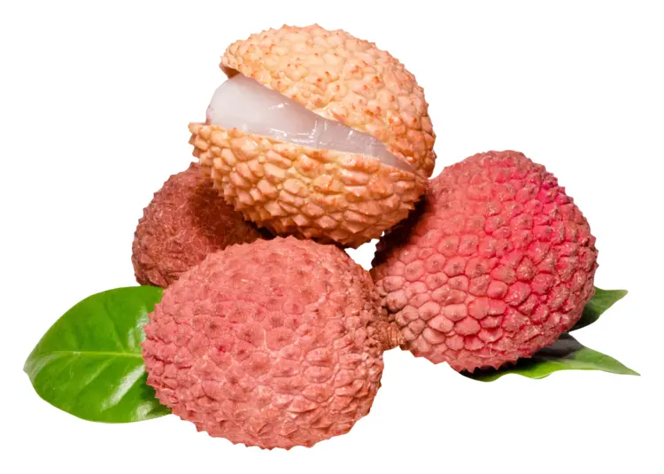 Fresh Lychee Fruit