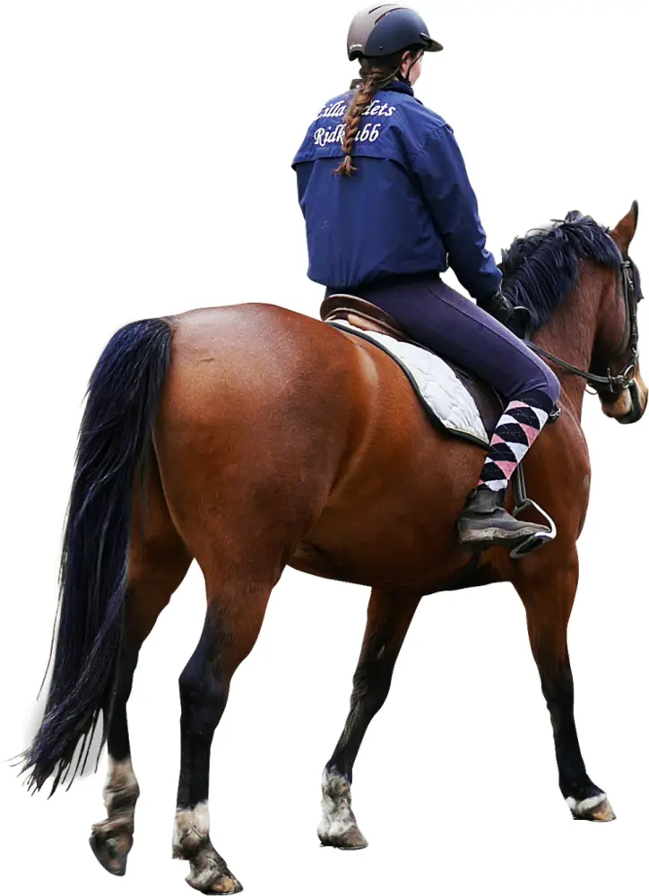 Person Riding a Horse