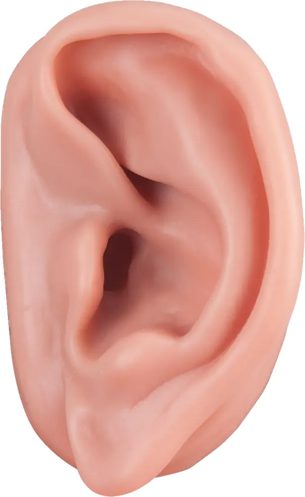 Single Human Ear