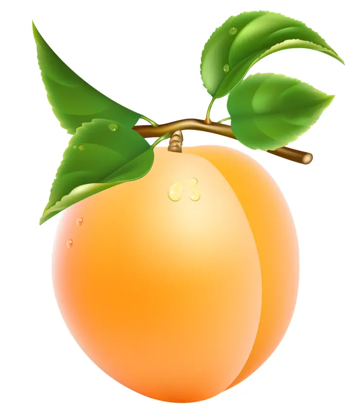 Peach with Green Leaves