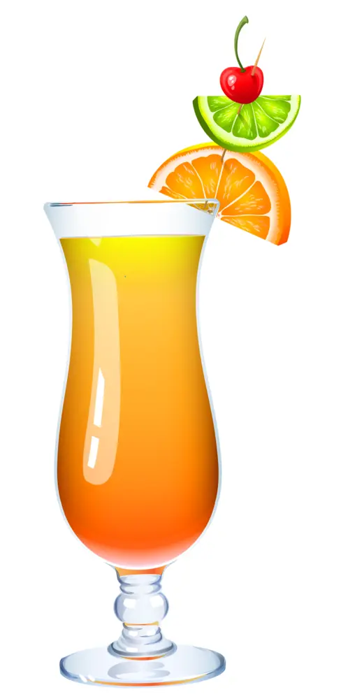 Orange Cocktail with Fruit Garnish