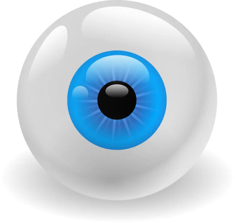 Blue Eye with Pupil and Iris