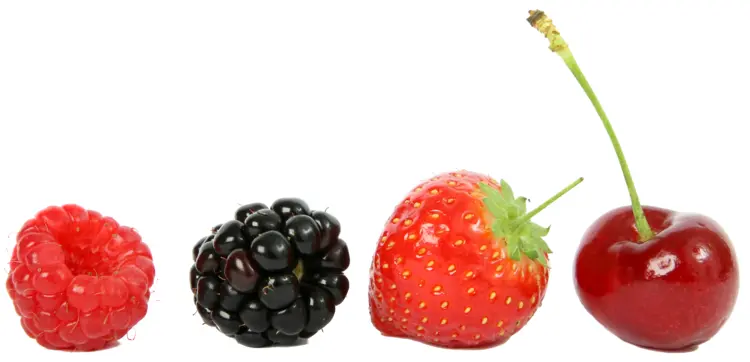 Assorted Berries on Transparent Background