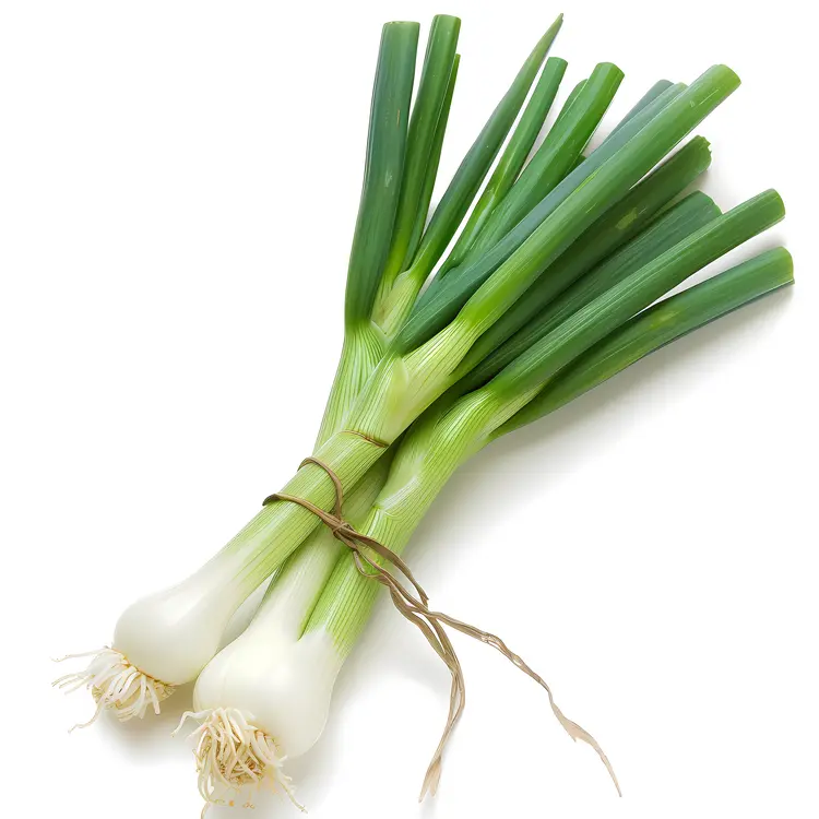 Fresh Green Onions Bunch