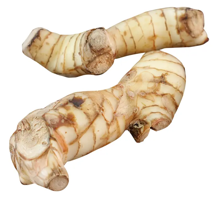 Fresh Galangal Root