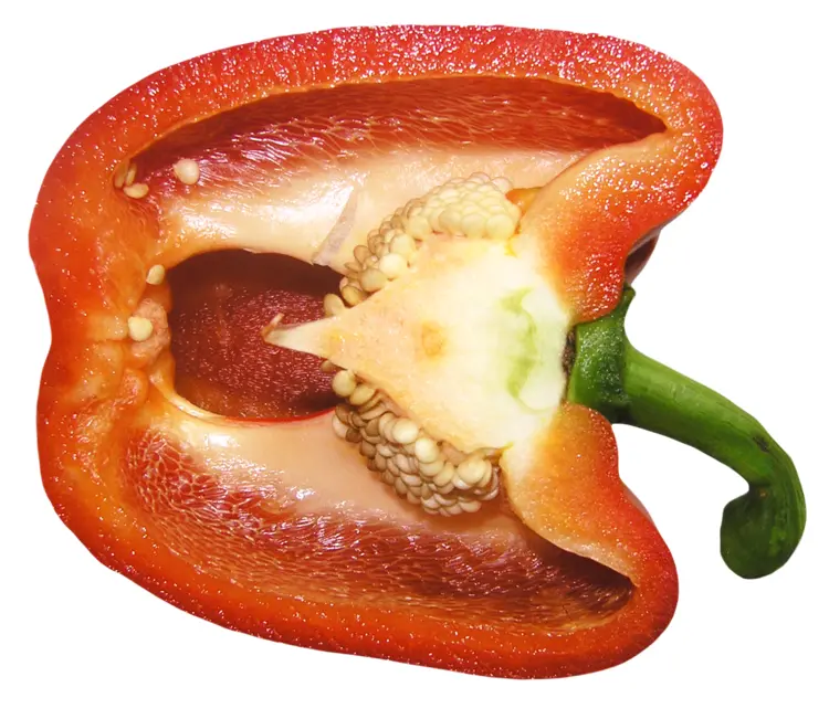 Fresh Red Bell Pepper for Healthy Cooking