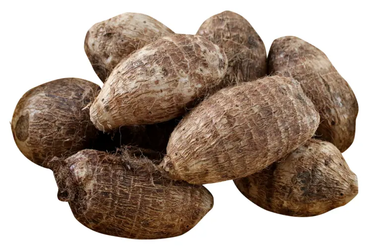 Fresh Taro Roots