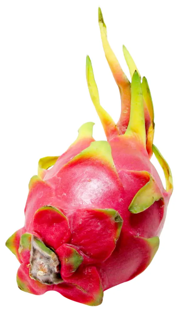 Whole Dragon Fruit