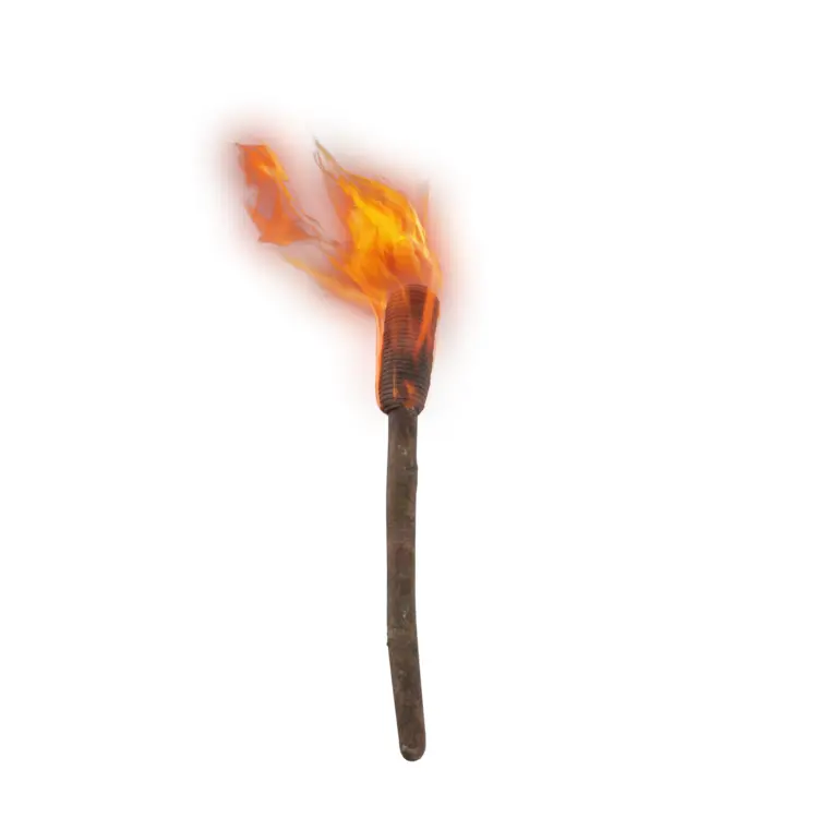 Burning Torch with Flame