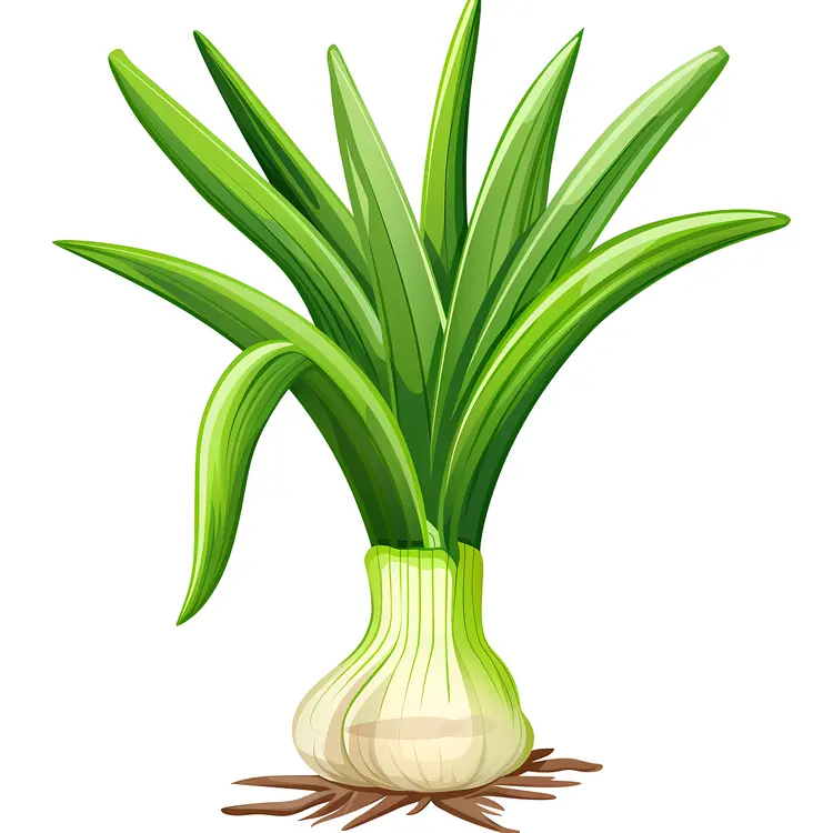 Cartoon Green Onion with Roots