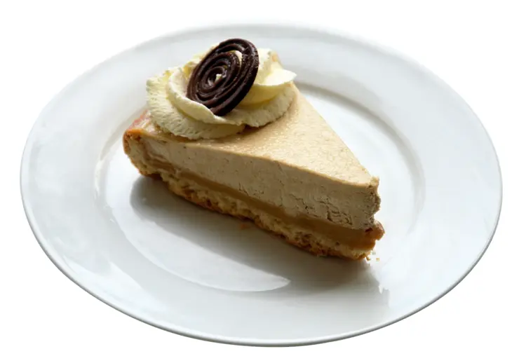 Delicious Cheesecake Slice