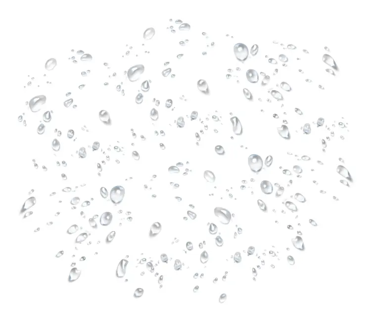 Water Droplets on Clear Background