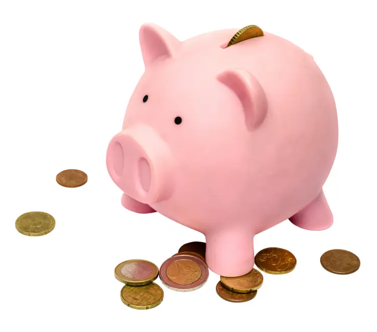 Pink Piggy Bank for Kids' Savings