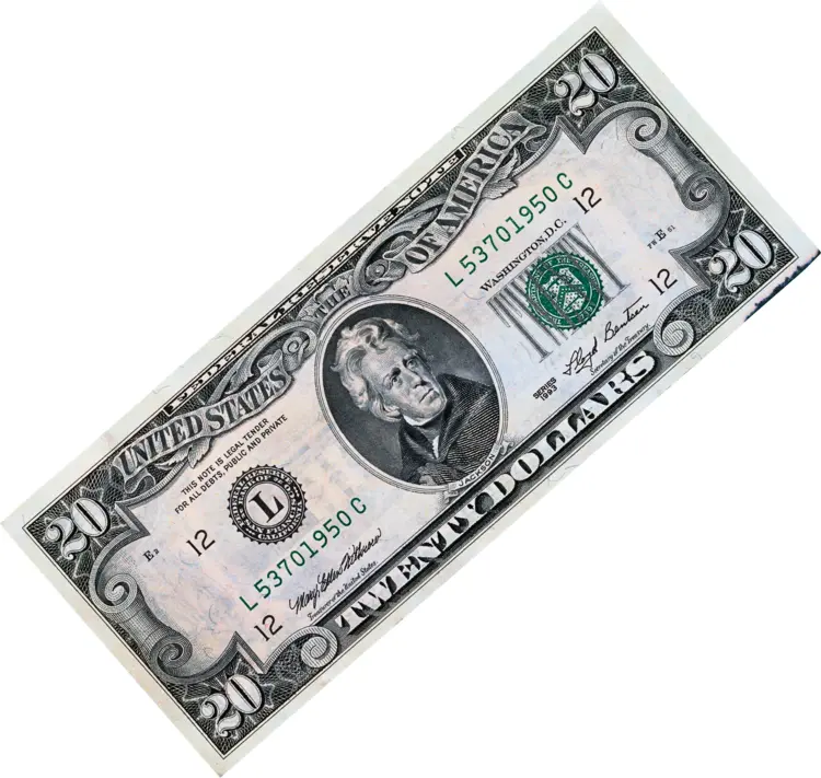 Single $20 Bill