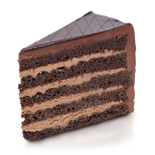 Multi-layered Chocolate Cake Slice