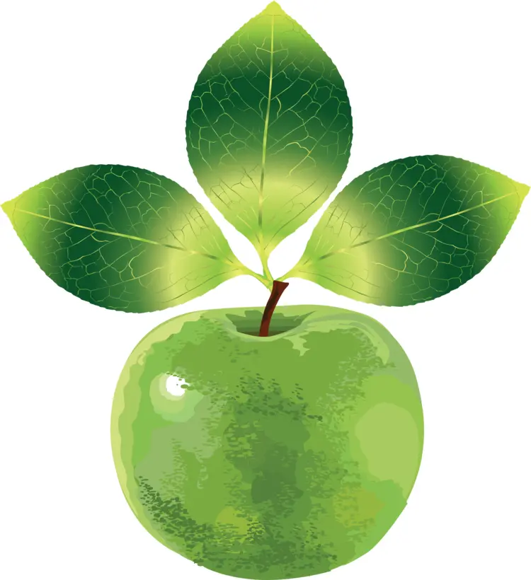 Green Apple with Three Leaves