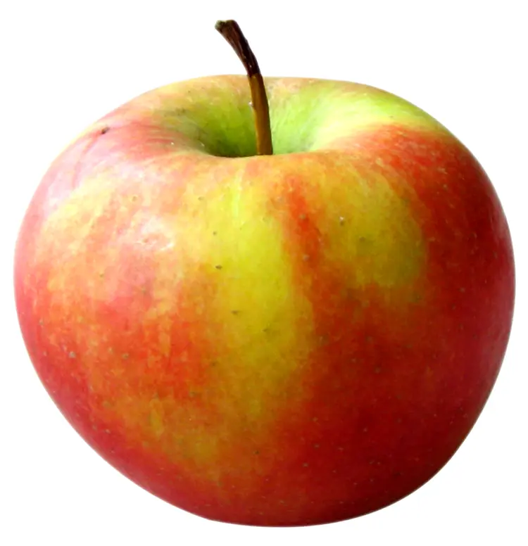 Juicy Red and Yellow Apple